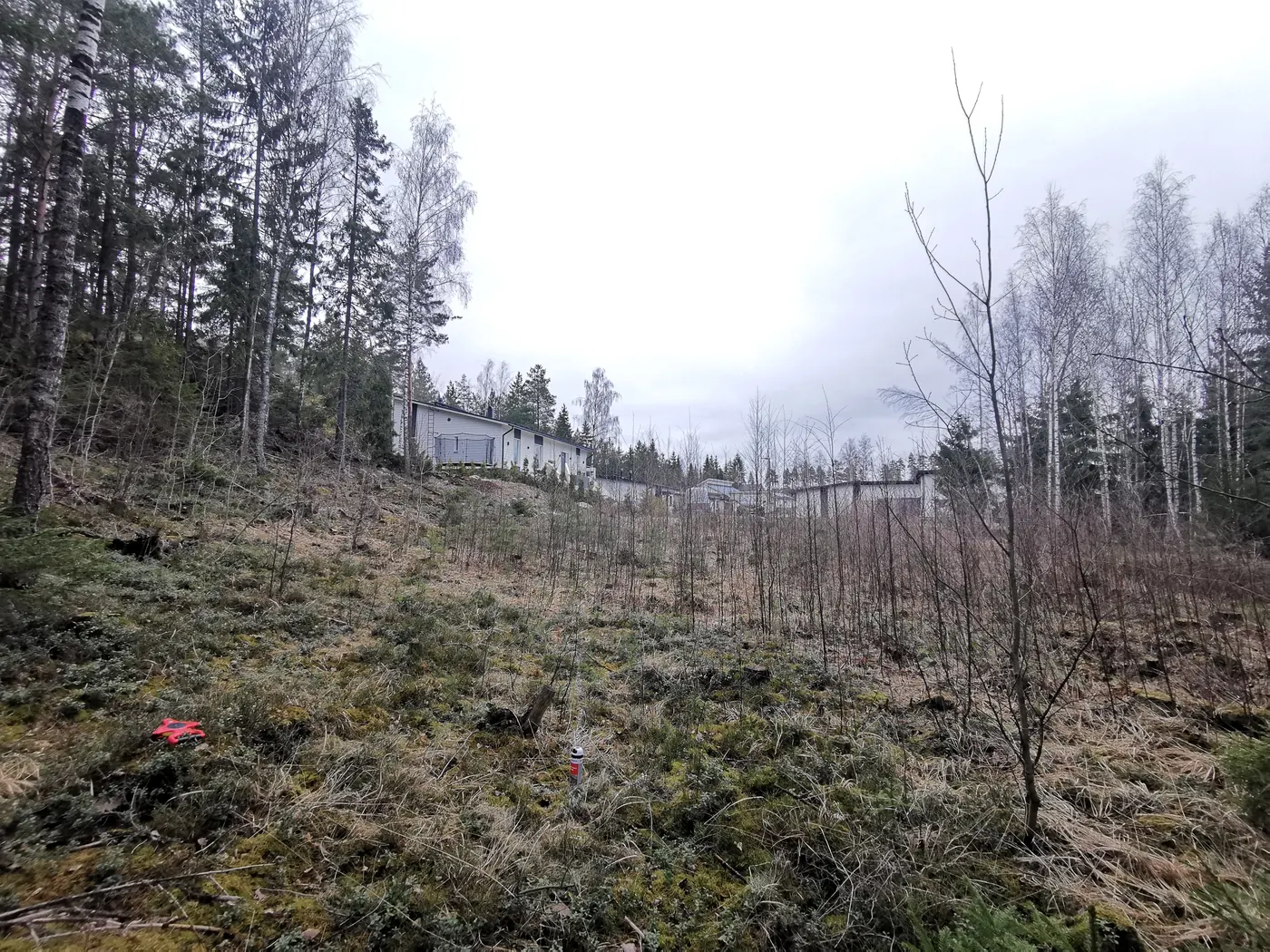 Raivattu tontti ennen rakentamista